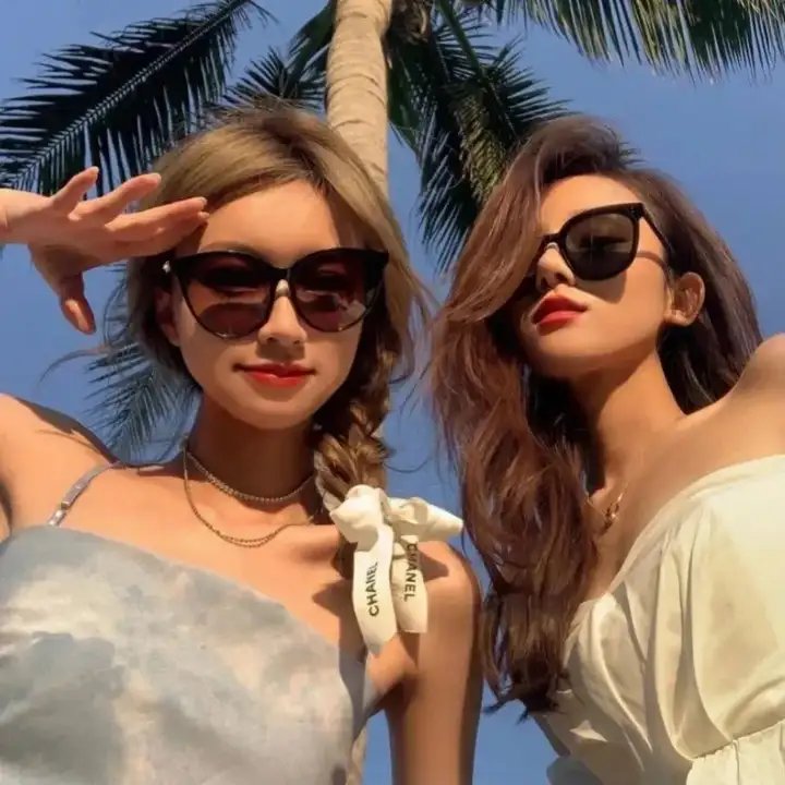 萌犬好声音4